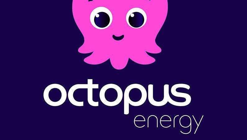 Logo de Octopus Energy